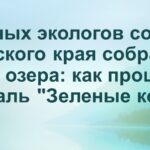 Школьники из городов и районов Алтайского края участвовали в 26-м фестивале экологов «Зеленые колокола»