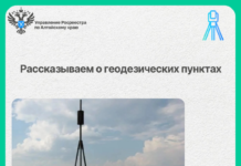Филиал ППК «Роскадастр» по Алтайскому краю рассказал о геодезических пунктах