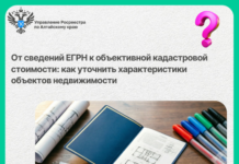 От сведений в ЕГРН к объективной кадастровой стоимости: как уточнить характеристики объектов недвижимости