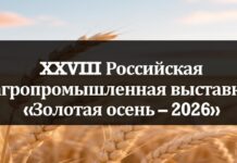 Алтайских производителей приглашают к участию в конкурсах качества в рамках Российской агропромышленной выставки «Золотая осень — 2026»