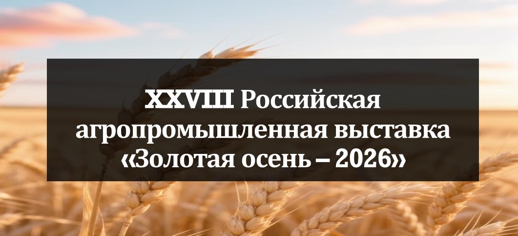 выставка