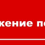 В Алтайском крае обсудили работу регионального отделения «Движения первых» и наметили планы на будущее